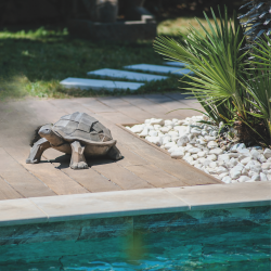 Tortue patine demi-rouille pour la déco au jardin